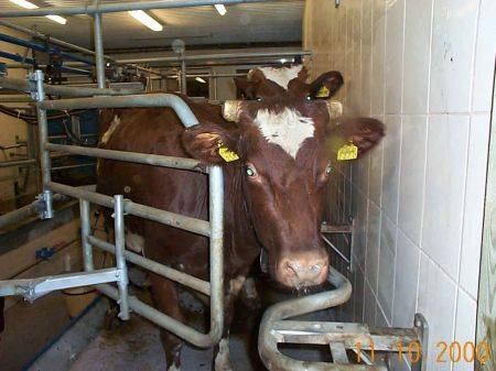 DCP01003.JPG (289613 bytes)