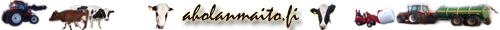 Aholanmaito OY